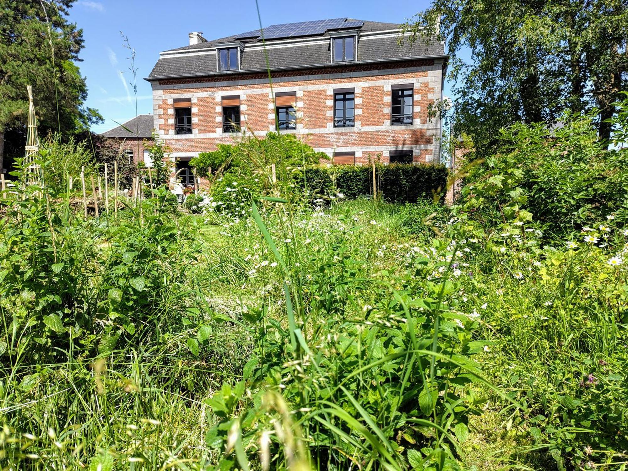 Bed and Breakfast Aubépine Sains-du-Nord Exterior foto