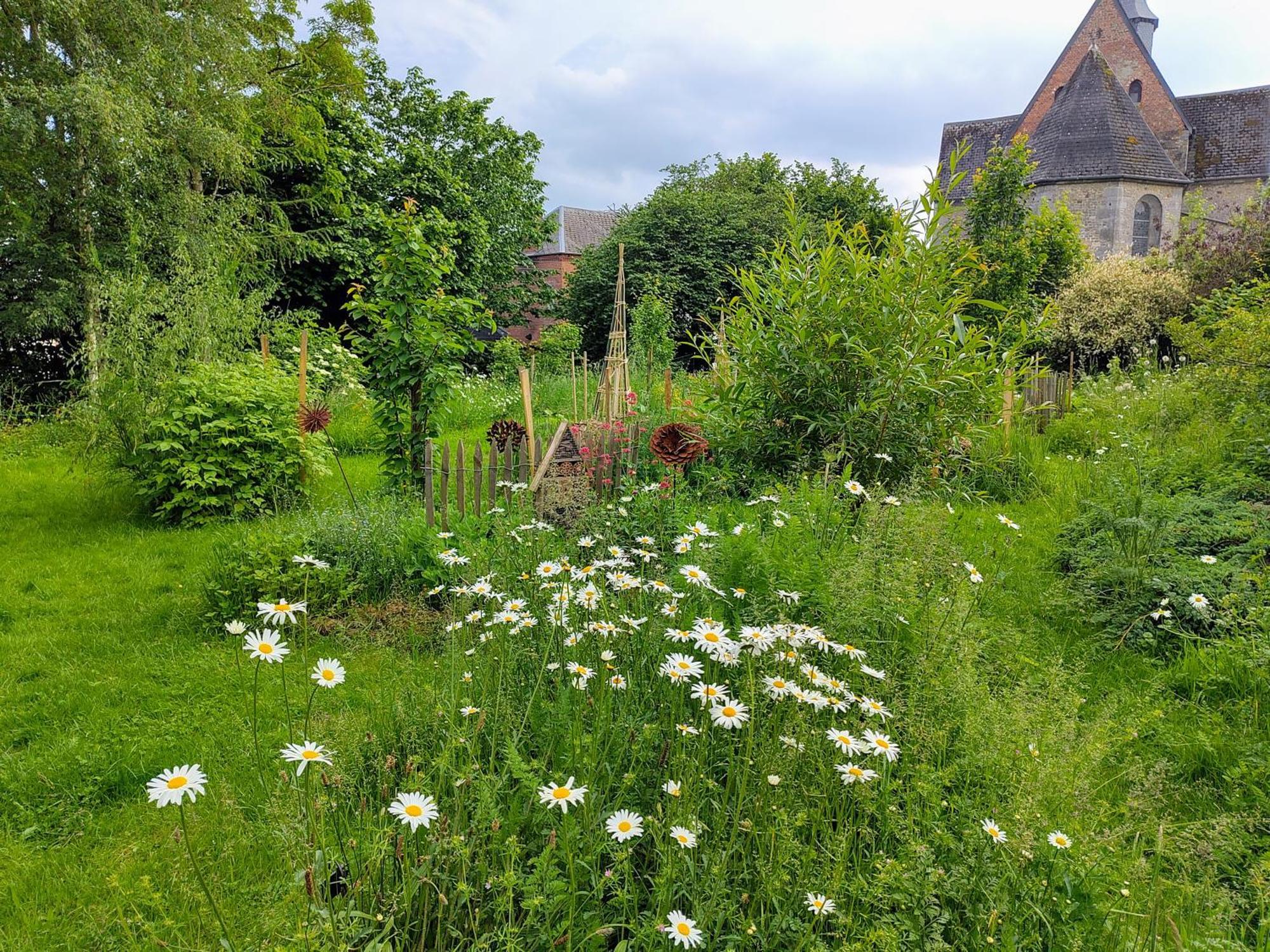 Bed and Breakfast Aubépine Sains-du-Nord Exterior foto